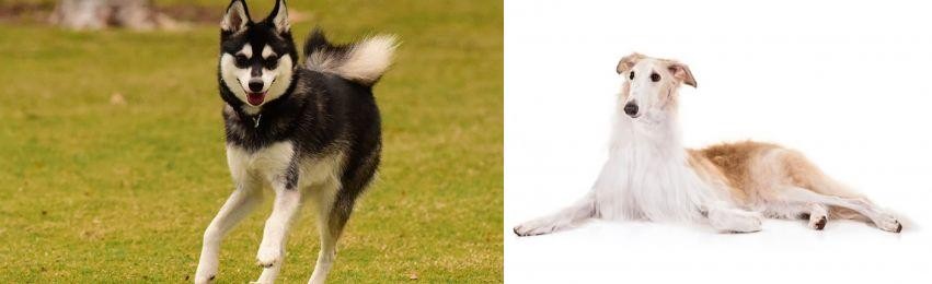Borzoi vs Alaskan Klee Kai - Breed Comparison