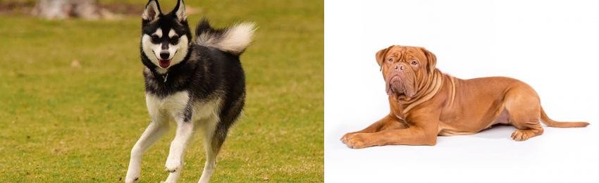 Dogue De Bordeaux vs Alaskan Klee Kai - Breed Comparison