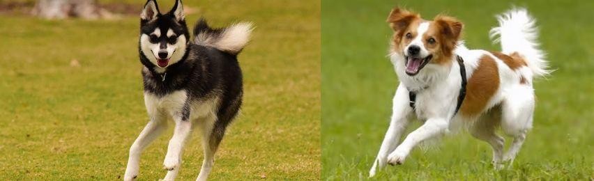 Kromfohrlander vs Alaskan Klee Kai - Breed Comparison
