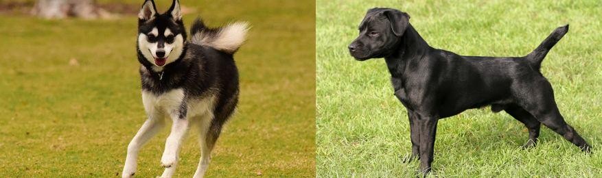 Patterdale Terrier vs Alaskan Klee Kai - Breed Comparison