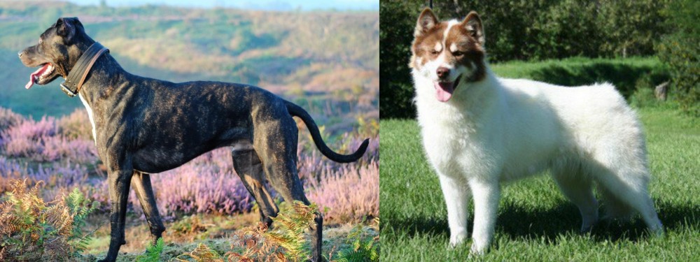 Canadian Eskimo Dog vs Alaunt - Breed Comparison