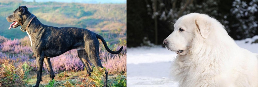 Great Pyrenees vs Alaunt - Breed Comparison