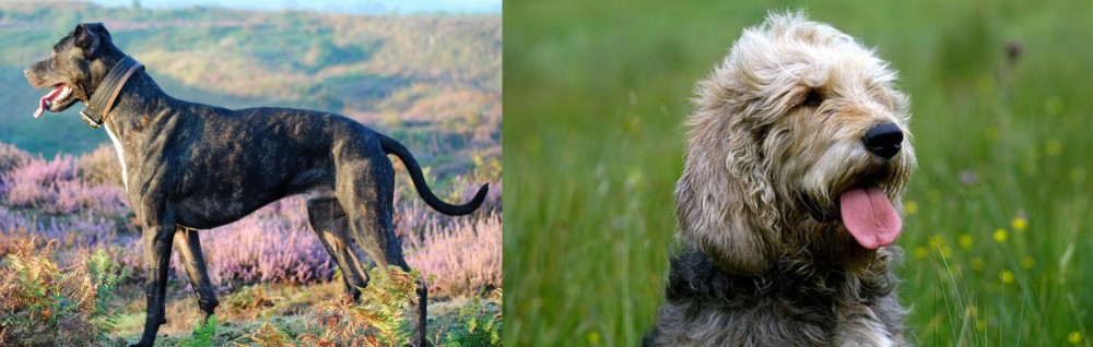 Otterhound vs Alaunt - Breed Comparison