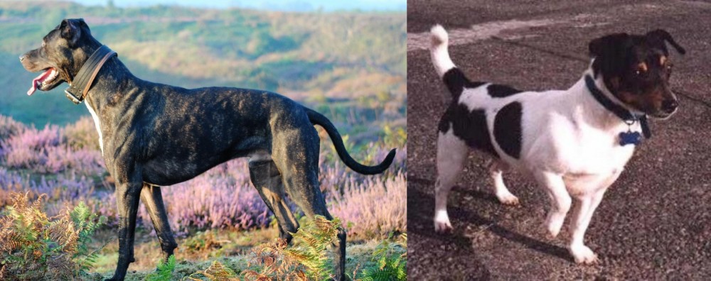 Teddy Roosevelt Terrier vs Alaunt - Breed Comparison