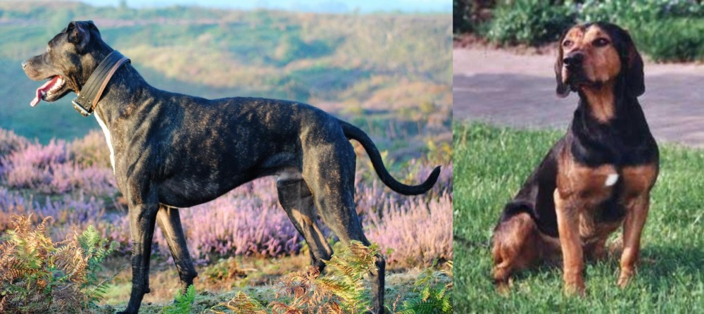 Tyrolean Hound vs Alaunt - Breed Comparison