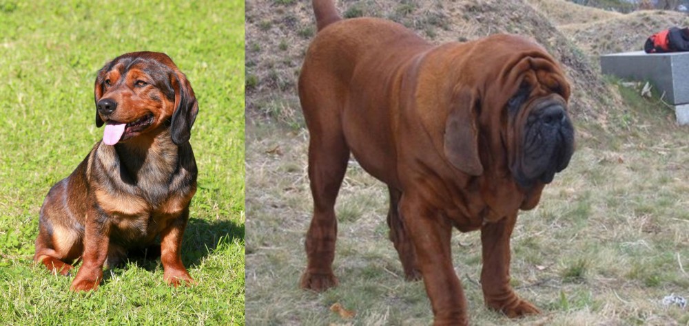 Korean Mastiff vs Alpine Dachsbracke - Breed Comparison