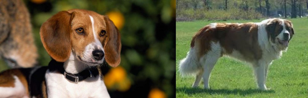 Moscow Watchdog vs American Foxhound - Breed Comparison