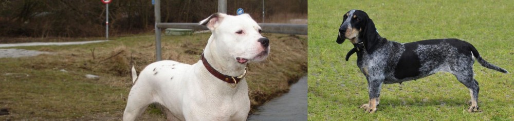 Basset Bleu de Gascogne vs Antebellum Bulldog - Breed Comparison