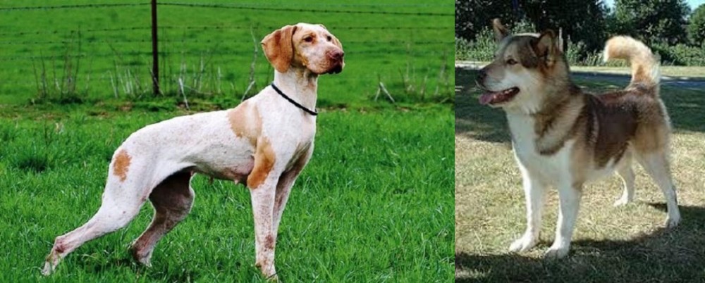 Greenland Dog vs Ariege Pointer - Breed Comparison
