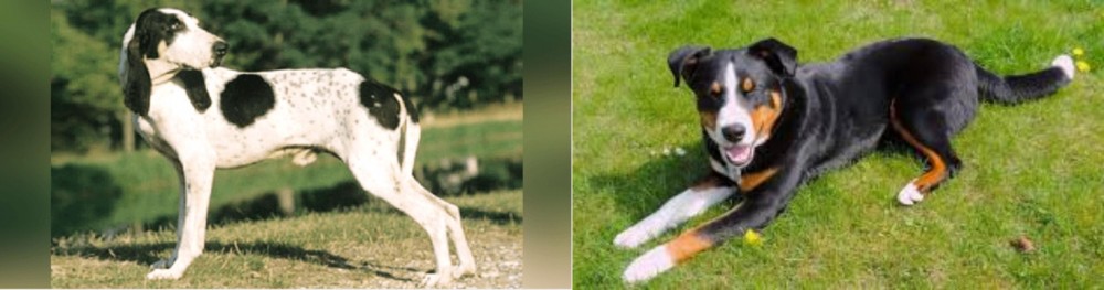 Appenzell Mountain Dog vs Ariegeois - Breed Comparison