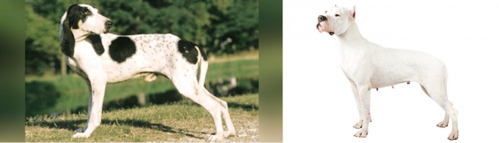 Argentine Dogo vs Ariegeois - Breed Comparison