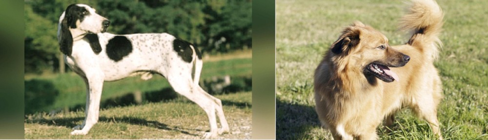 Basque Shepherd vs Ariegeois - Breed Comparison