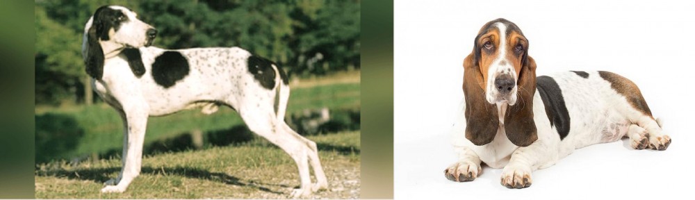 Basset Hound vs Ariegeois - Breed Comparison