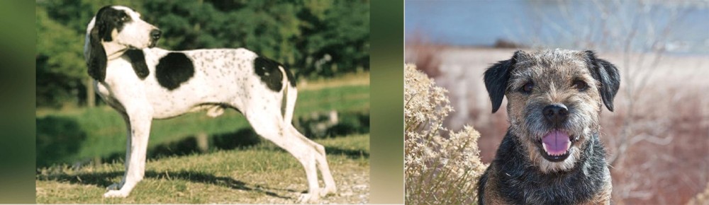 Border Terrier vs Ariegeois - Breed Comparison