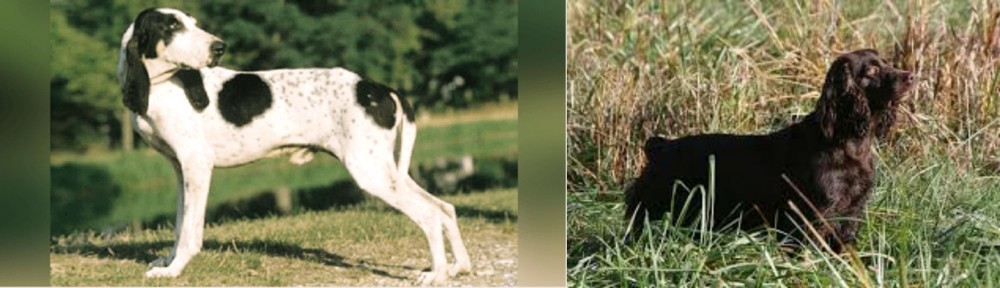Boykin Spaniel vs Ariegeois - Breed Comparison