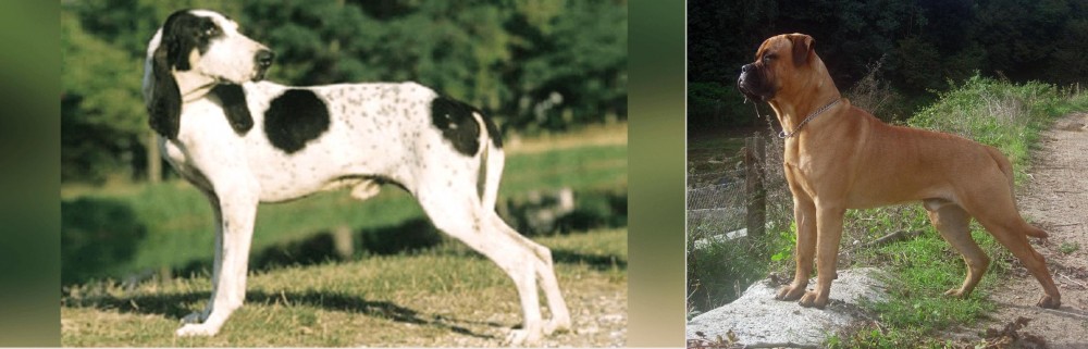 Bullmastiff vs Ariegeois - Breed Comparison