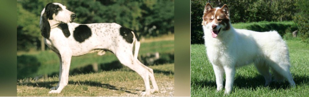 Canadian Eskimo Dog vs Ariegeois - Breed Comparison