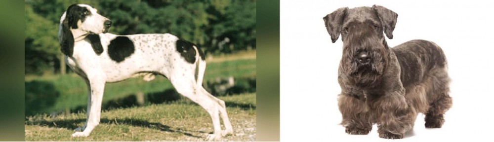 Cesky Terrier vs Ariegeois - Breed Comparison