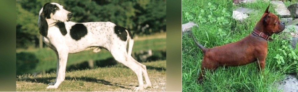 Chinese Chongqing Dog vs Ariegeois - Breed Comparison