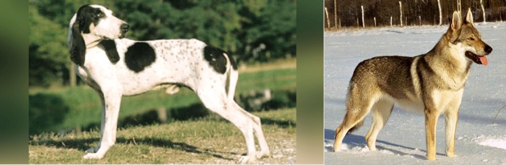 Czechoslovakian Wolfdog vs Ariegeois - Breed Comparison