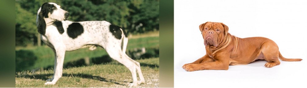 Dogue De Bordeaux vs Ariegeois - Breed Comparison