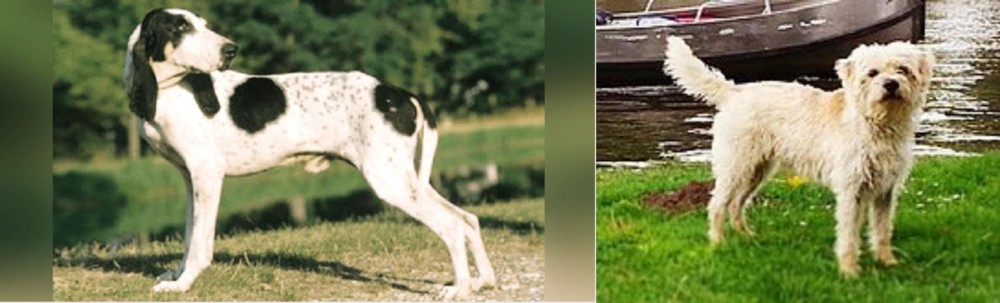 Dutch Smoushond vs Ariegeois - Breed Comparison