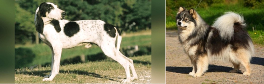 Finnish Lapphund vs Ariegeois - Breed Comparison