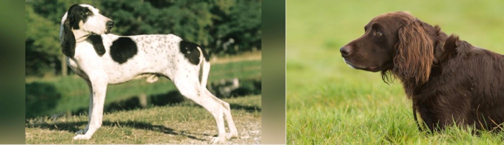 German Longhaired Pointer vs Ariegeois - Breed Comparison