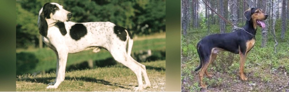 Greek Harehound vs Ariegeois - Breed Comparison