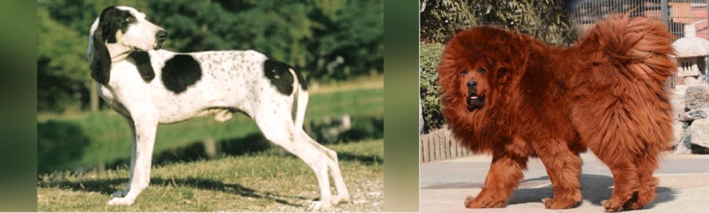 Himalayan Mastiff vs Ariegeois - Breed Comparison