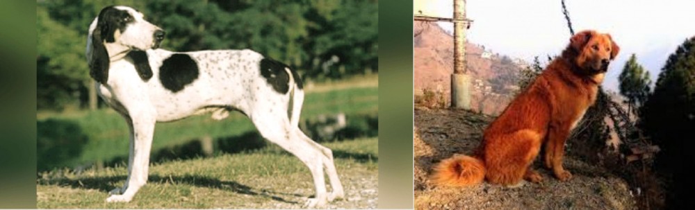 Himalayan Sheepdog vs Ariegeois - Breed Comparison
