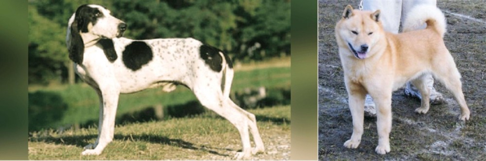 Hokkaido vs Ariegeois - Breed Comparison