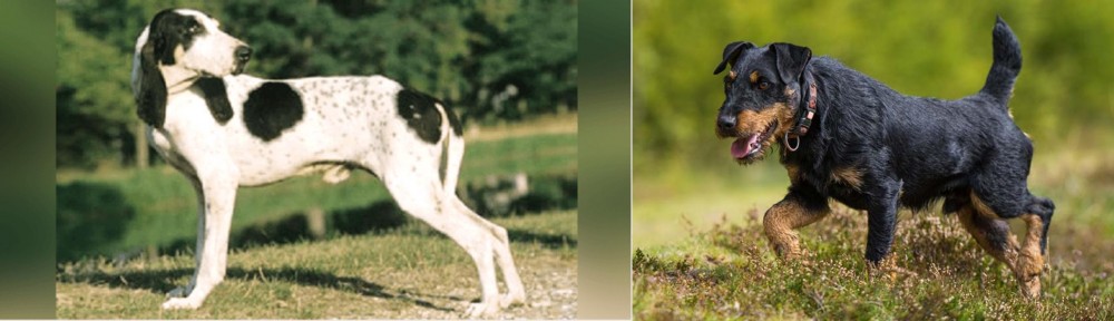 Jagdterrier vs Ariegeois - Breed Comparison