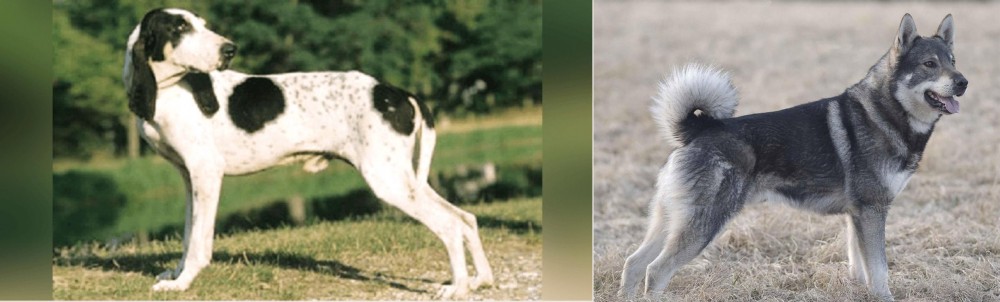 Jamthund vs Ariegeois - Breed Comparison