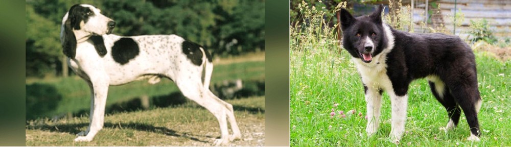 Karelian Bear Dog vs Ariegeois - Breed Comparison