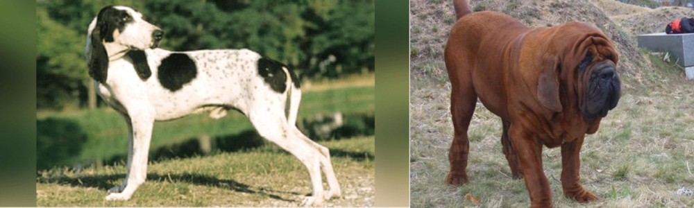 Korean Mastiff vs Ariegeois - Breed Comparison
