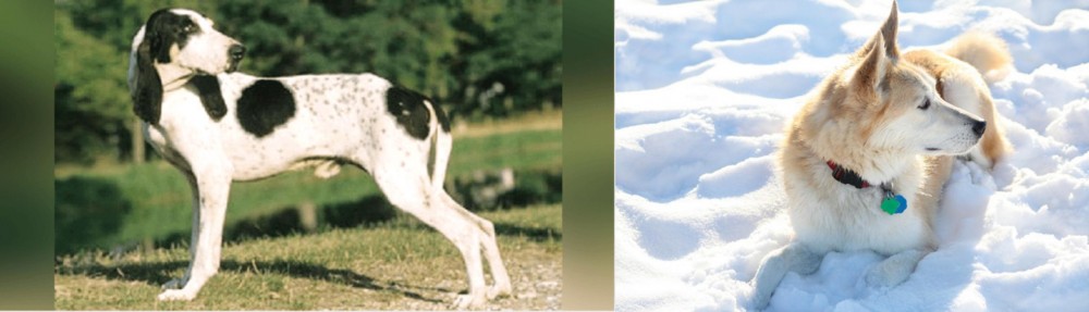 Labrador Husky vs Ariegeois - Breed Comparison