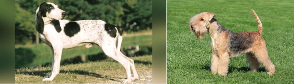 Lakeland Terrier vs Ariegeois - Breed Comparison