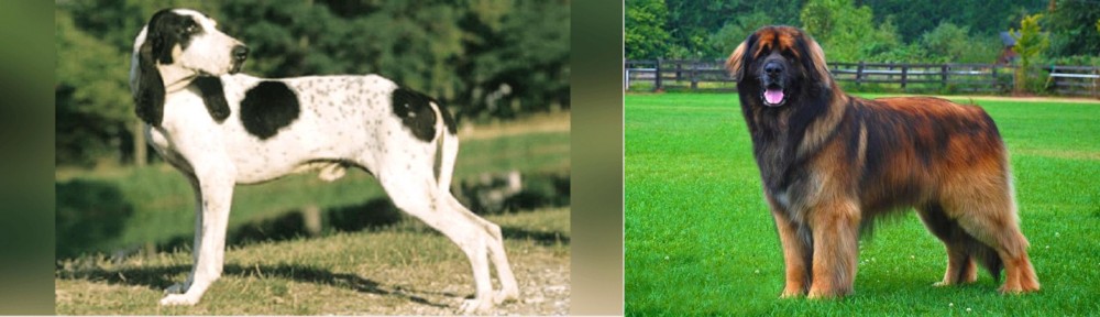 Leonberger vs Ariegeois - Breed Comparison