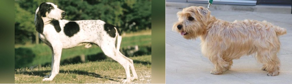 Lucas Terrier vs Ariegeois - Breed Comparison