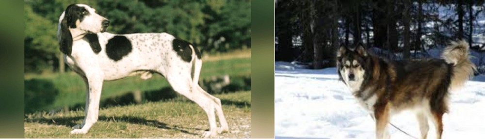 Mackenzie River Husky vs Ariegeois - Breed Comparison