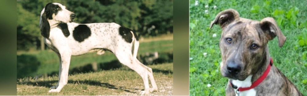 Mountain Cur vs Ariegeois - Breed Comparison