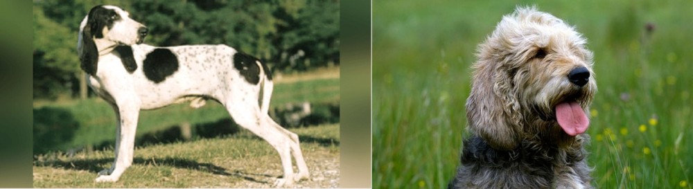 Otterhound vs Ariegeois - Breed Comparison