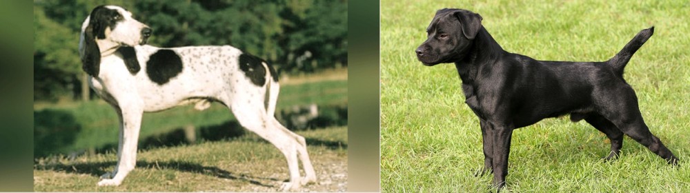 Patterdale Terrier vs Ariegeois - Breed Comparison