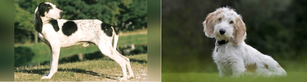 Petit Basset Griffon Vendeen vs Ariegeois - Breed Comparison