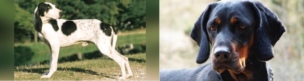 Polish Hunting Dog vs Ariegeois - Breed Comparison