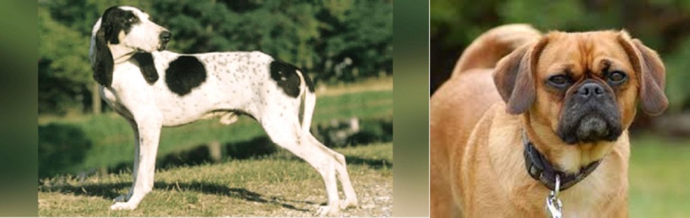 Pugalier vs Ariegeois - Breed Comparison