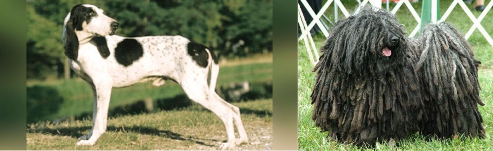 Puli vs Ariegeois - Breed Comparison