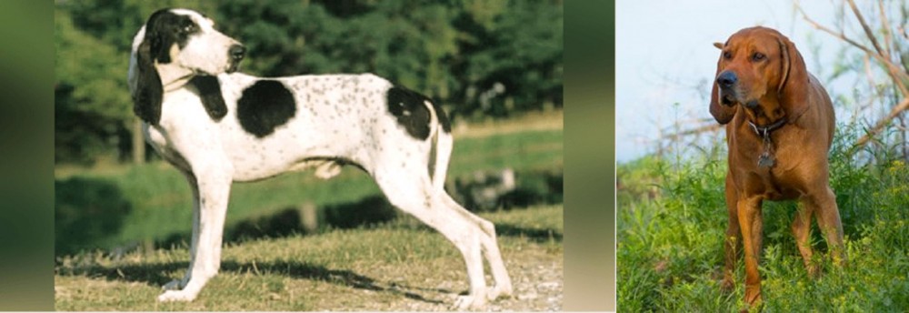 Redbone Coonhound vs Ariegeois - Breed Comparison