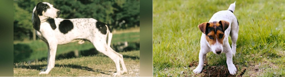 Russell Terrier vs Ariegeois - Breed Comparison